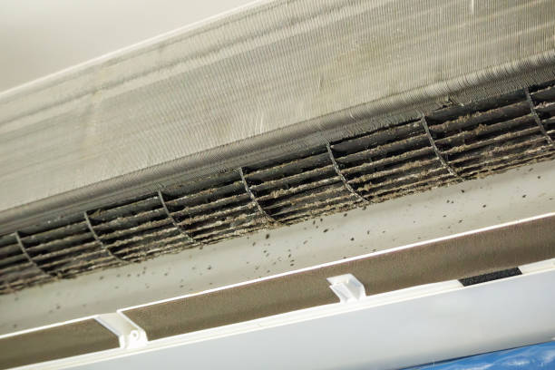 Best HVAC Maintenance and Cleaning  in Ball Pond, CT